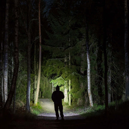 Person using light to see in the woods at night