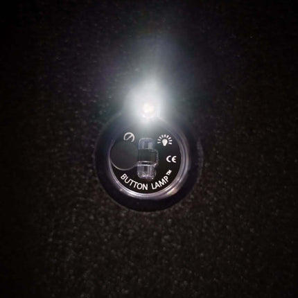 Powered on LED button lamp light