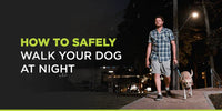 How to Safely Walk Your Dog at Night