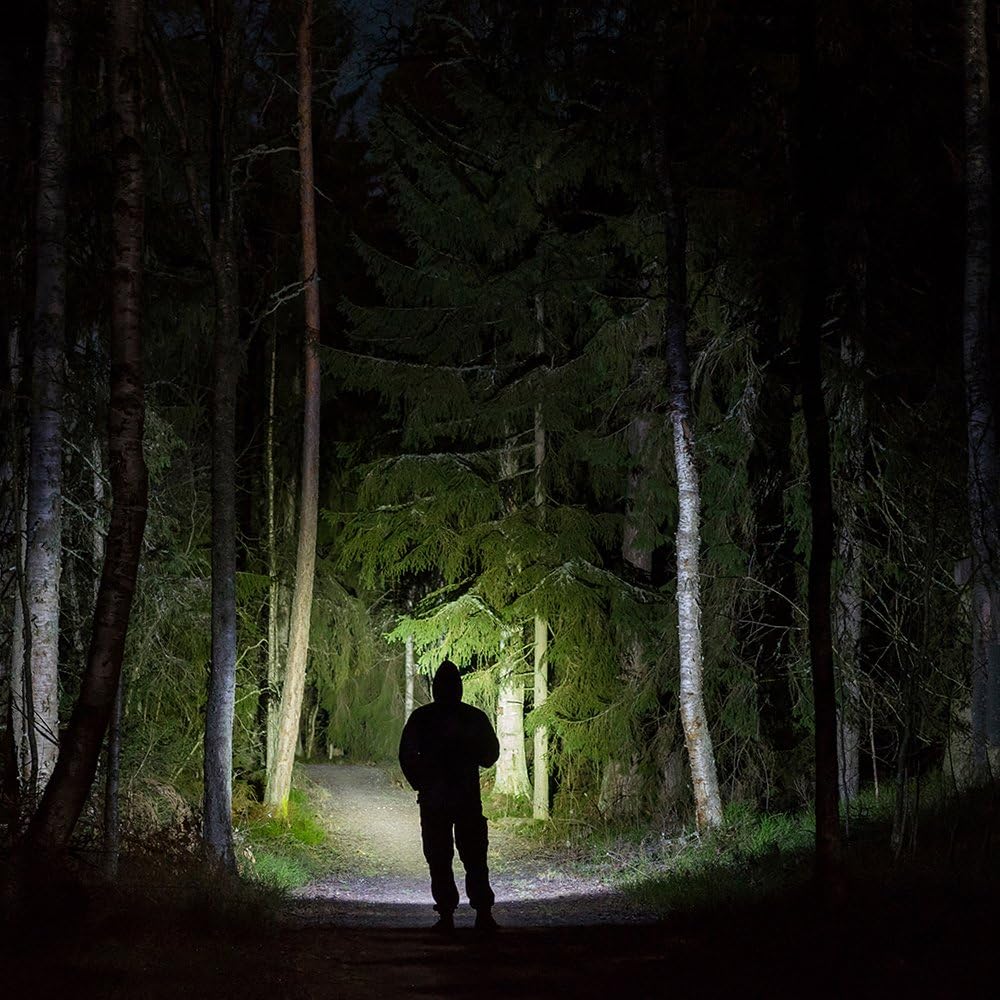 FLATEYE F-700 LED Flashlight – 700 Lumens