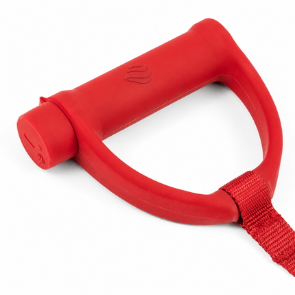 POWERPAW Rechargeable Heated Dog Leash, Waterproof Heavy-Duty Nylon, 6-Ft, For Dogs Up to 100 lbs