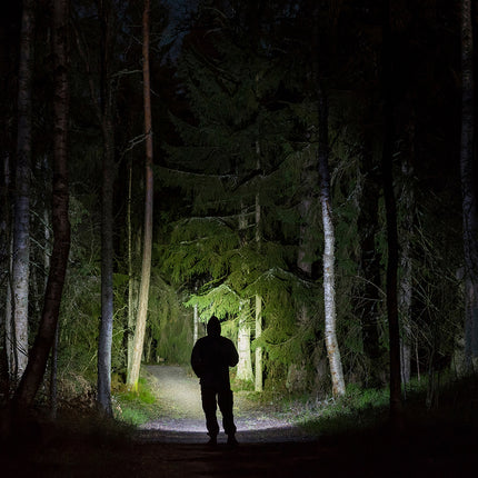 Strong flashlight lighting the way through dark woods